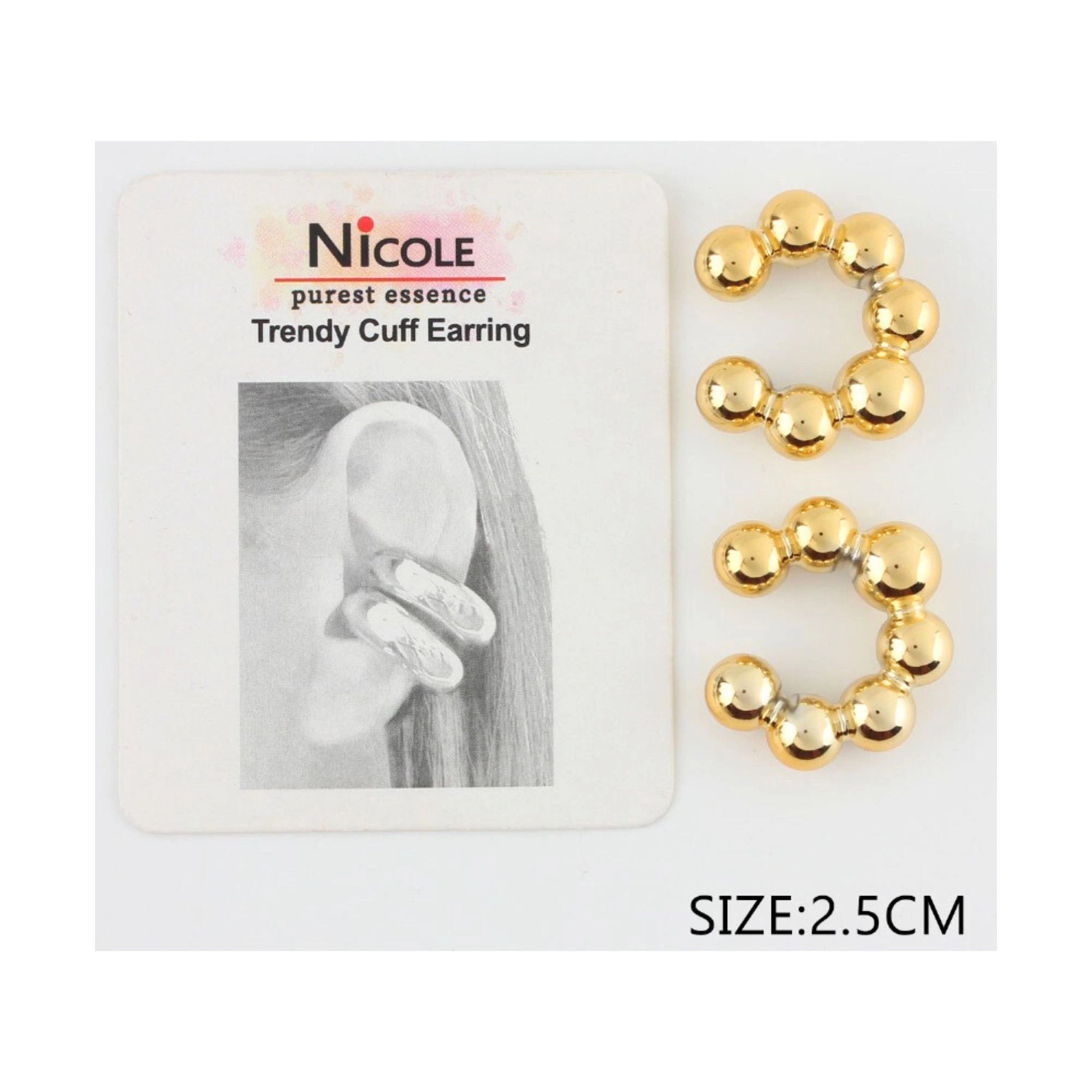 Earrings - 143 ACR2041