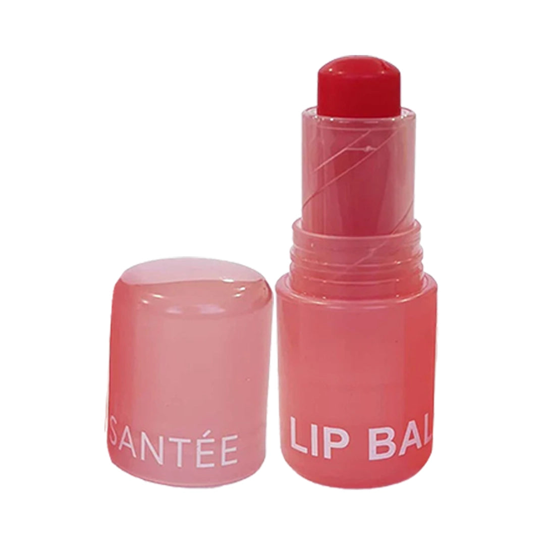 Santée Long-Lasting Color Lip Balm Bulk Display Box – Hydrating Tinted Lip Balm Set, Fruit-Flavored Moisturizing Lip Care 24pcs