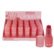 Santée Long-Lasting Color Lip Balm Bulk Display Box – Hydrating Tinted Lip Balm Set, Fruit-Flavored Moisturizing Lip Care 24pcs