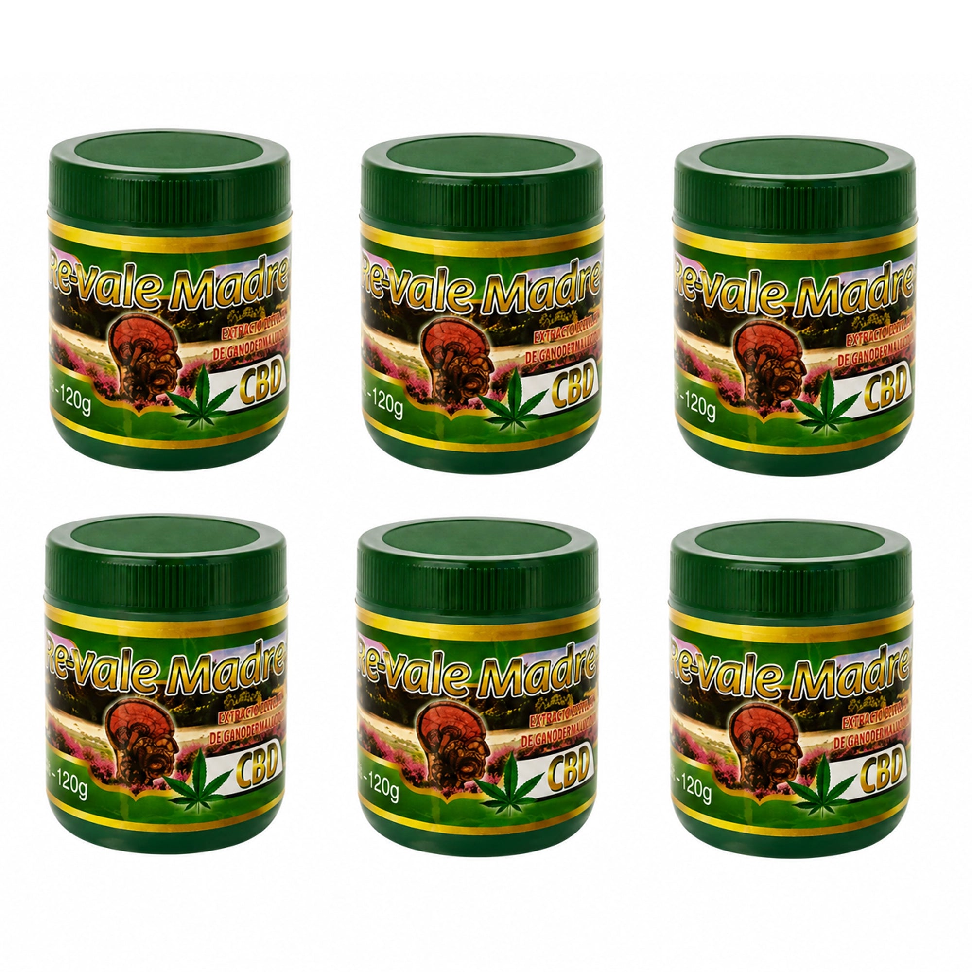 Re-Vale Madre Ointment with CBD & Ganoderma Lucidum (6-Pack, 120g each) – Natural Pain Relief Pomade for Joints, Muscles, and Inflammation