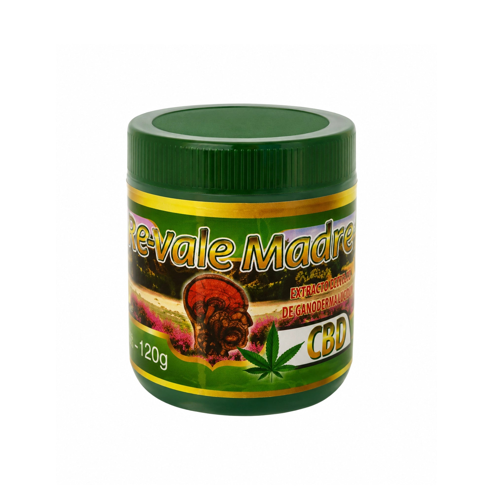 Re-Vale Madre Ointment with CBD & Ganoderma Lucidum (6-Pack, 120g each) – Natural Pain Relief Pomade for Joints, Muscles, and Inflammation