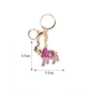 Newproduct - 152483 - 2026-07-23 KBC-0795