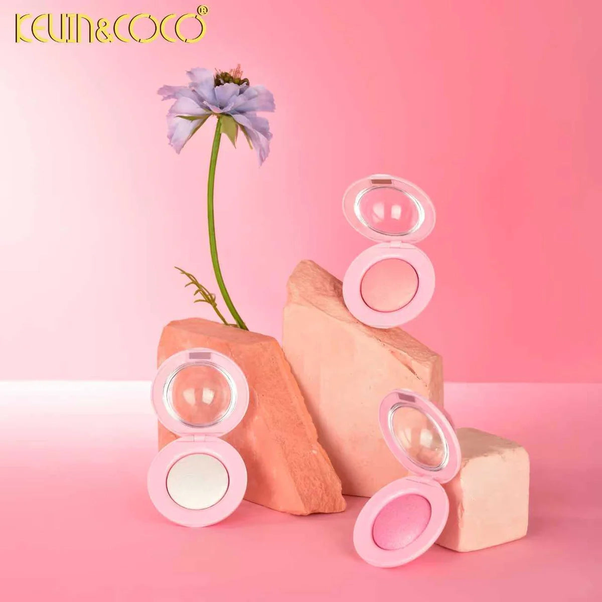 Kevin & Coco - Pet Planet Highlighter Powder-12 PCS