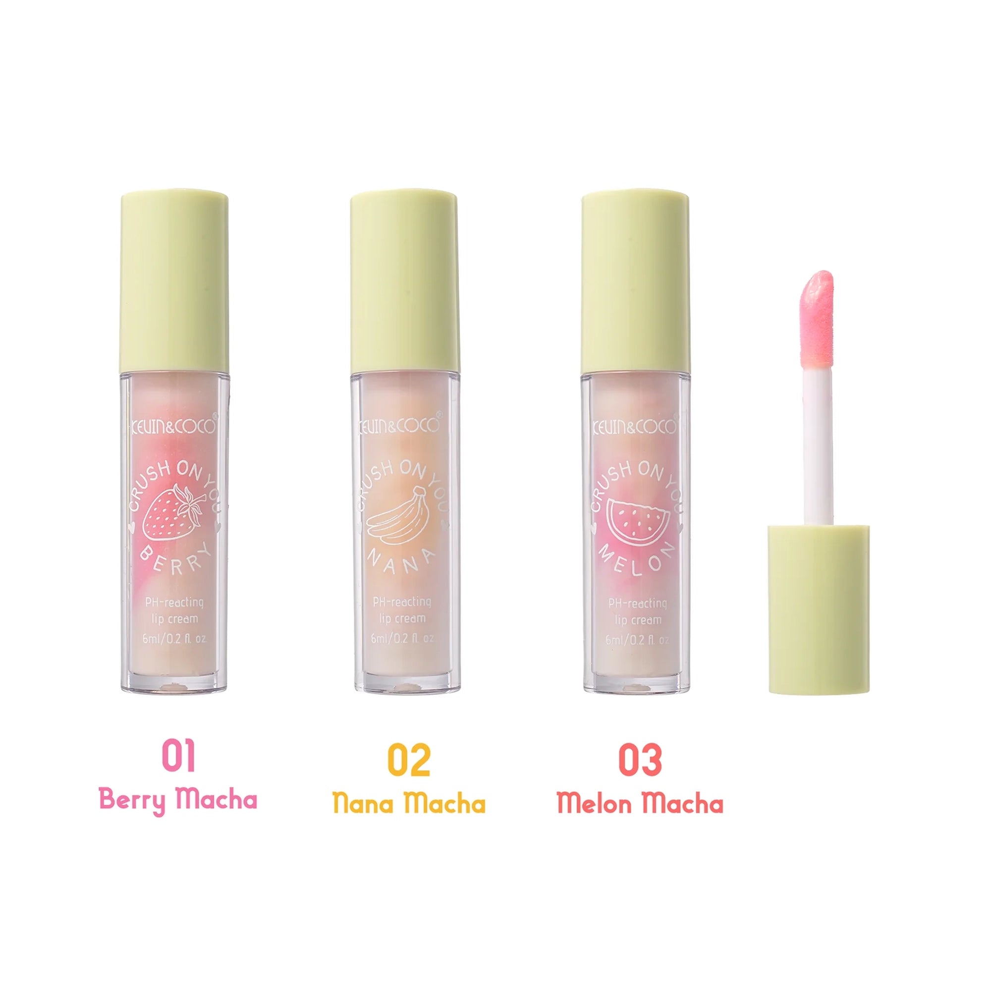 Kevin & Coco - In Love with Matcha Lip Gloss 24pcs