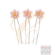 Newproduct - A23651 - 2026-08-31 LST-0240GSR6