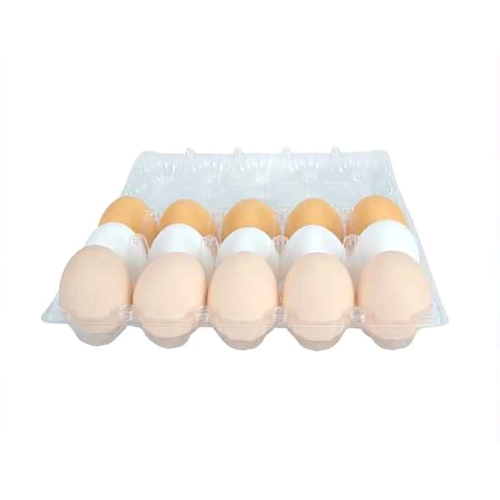 Newproduct - 20499 - 2026-08-17 T004