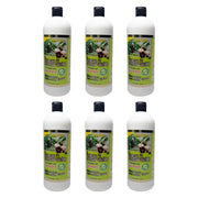 Shampoo - Romero Con Celulas Madres - TRUECOLOR WHOLESALE