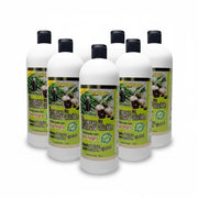 Shampoo - Romero Con Celulas Madres