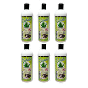 Shampoo - Sabila Reforzado Ajo De Las 7 Maravillas - TRUECOLOR WHOLESALE