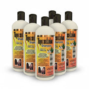 Shampoo - Tepescohuite Reforzado Con Ajo Y Sabila