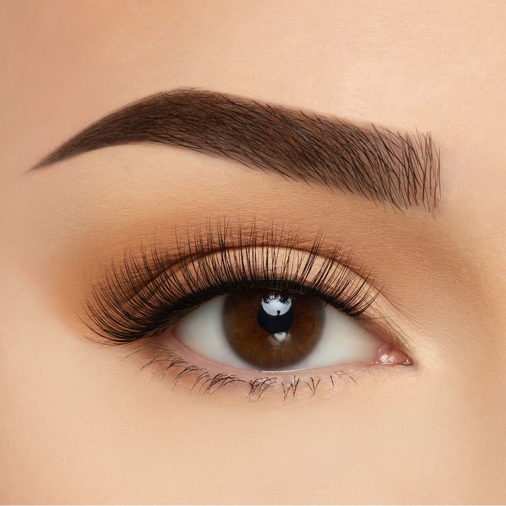 Beauty Creation - Maui 3D Soft Silk Lashes - TRUECOLOR WHOLESALE