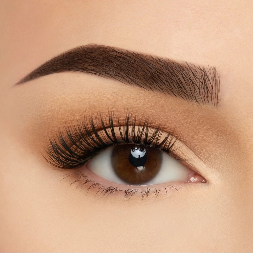 Beauty Creation - Barcelona 3D Soft Silk Lashes - TRUECOLOR WHOLESALE