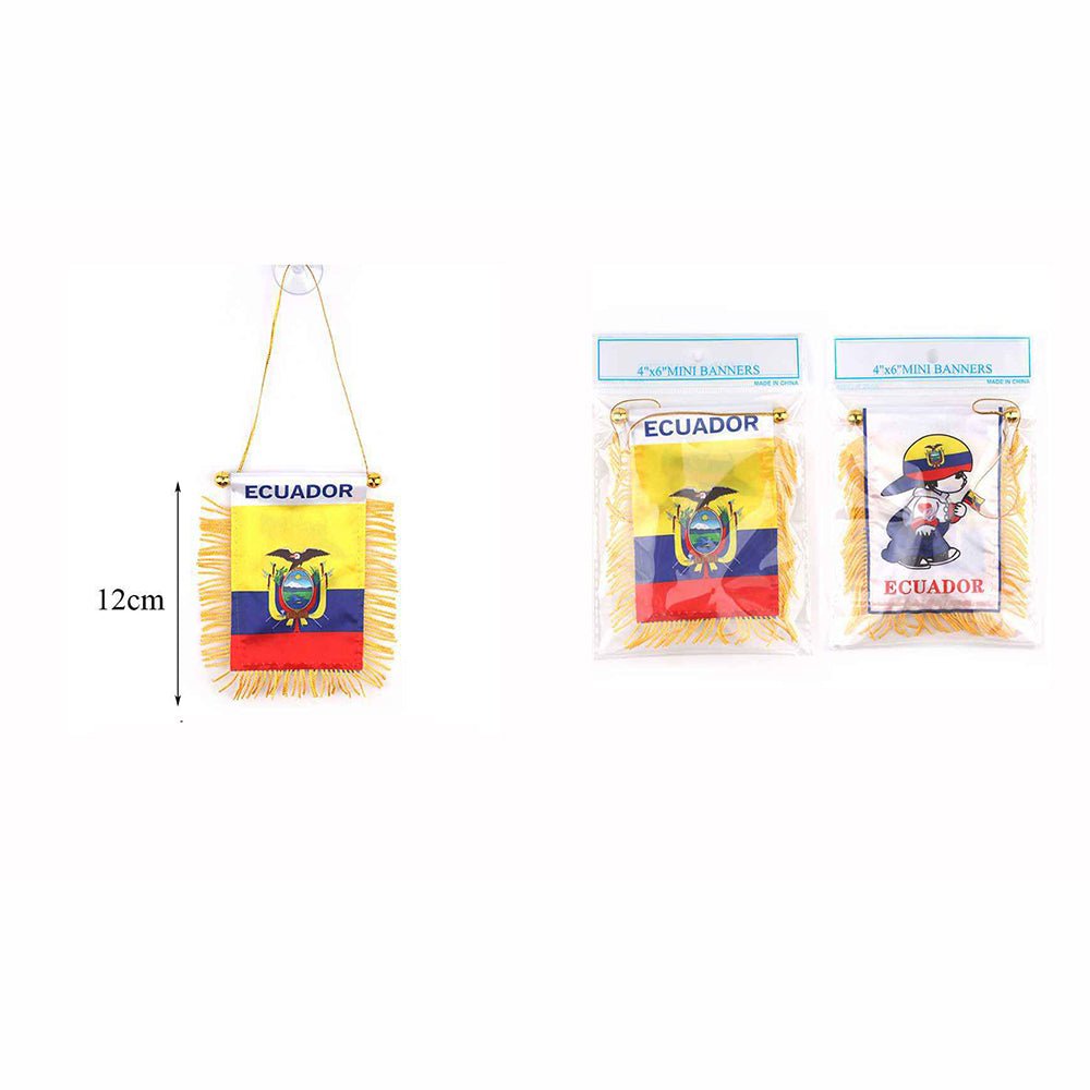 Ecuador Boy Mini Banners 4"x6" - TRUECOLOR WHOLESALE