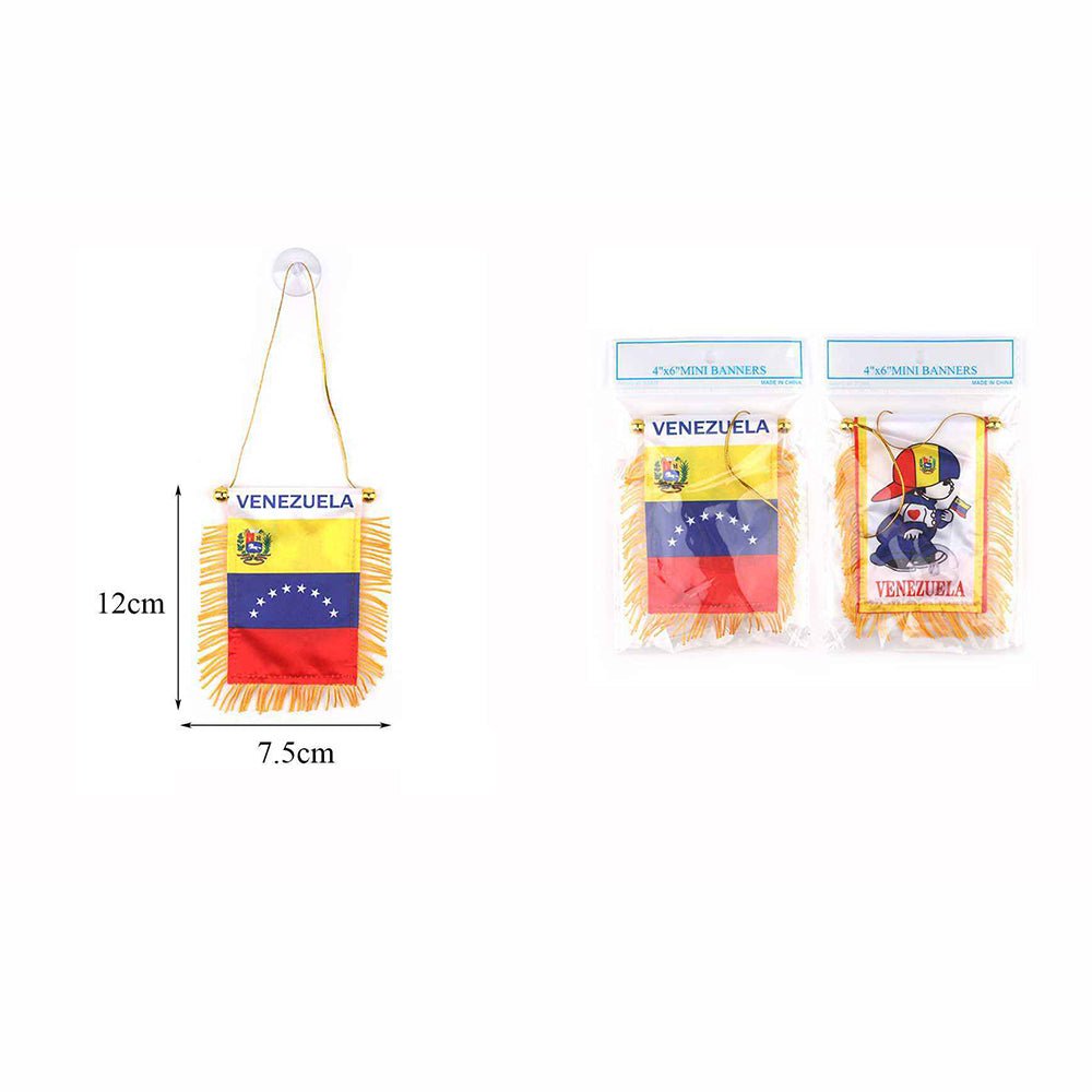 Venezuela Boy Mini Banners 4"x6" - TRUECOLOR WHOLESALE