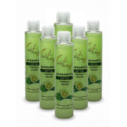 Alma Belleza - Shampoo Bergamot + Keratina