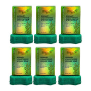 Simply Bella - Rosemary Strengthening Sponge Soap (Jabon) W - G - 04 - TRUECOLOR WHOLESALE