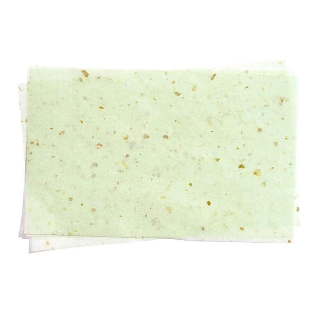 Beauty Creation - Oily Who? Green Tea Blotting Paper - TRUECOLOR WHOLESALE