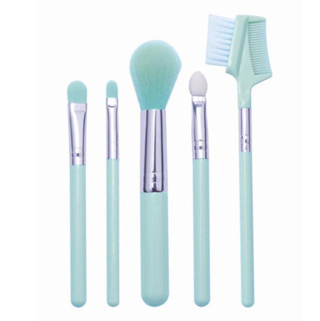 Prolux - Brush Set Turquoise - TRUECOLOR WHOLESALE